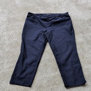 Navy Blue  Pants